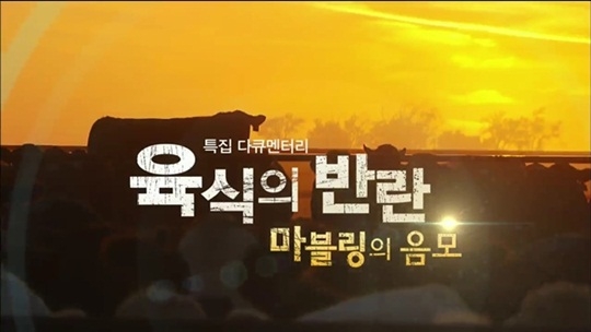 더마블링 이미지