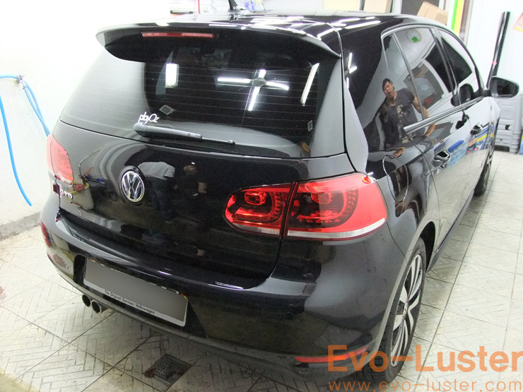Evo-Luster 이미지