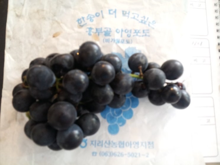 흥부골 아영포도 이미지