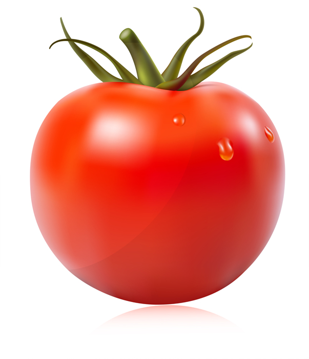 토마토미용실 이미지