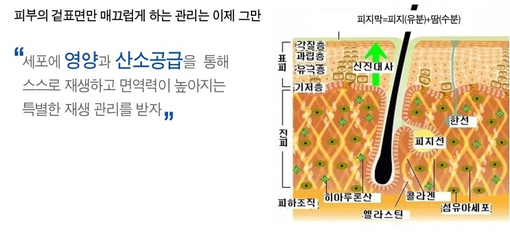 예인피부관리 이미지