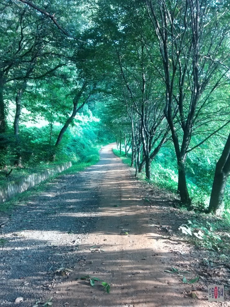 완주꽃배달써비스 이미지
