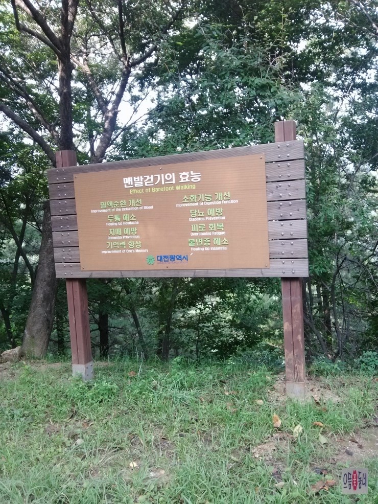 완주꽃배달써비스 이미지
