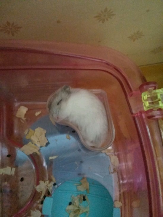 찍 이미지