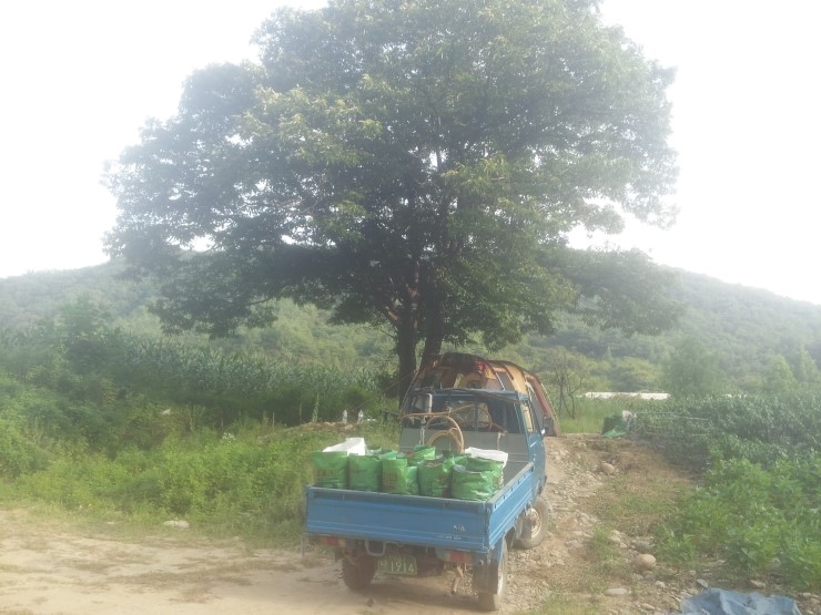 거북이민박 이미지