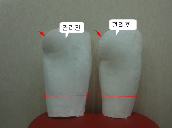 가인미가 이미지