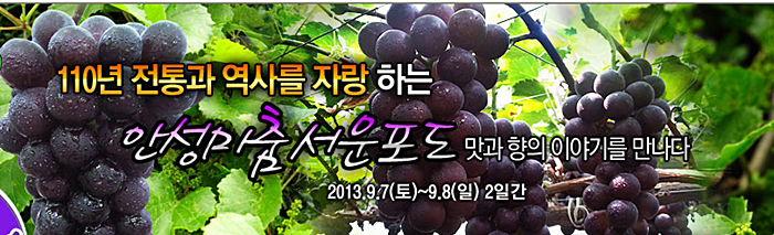 안성서운포도 이미지