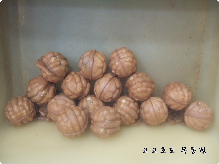 코코호도목동점 이미지