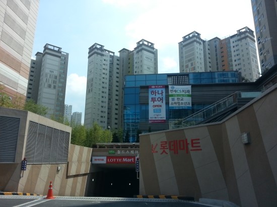 다올여행사 이미지