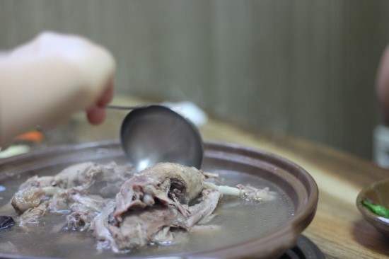 황제오리 이미지