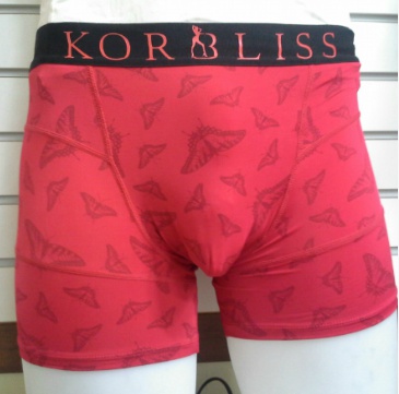 브리스건강기능성속옷 이미지