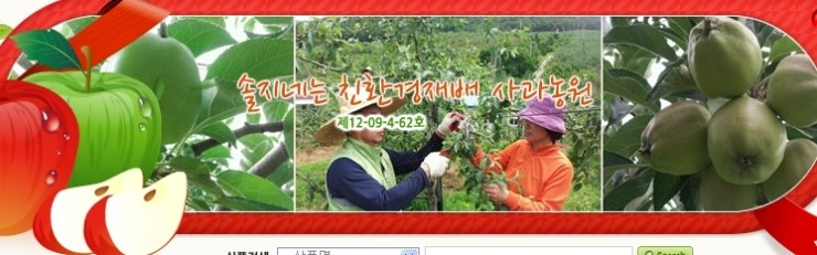 솔지네 이미지