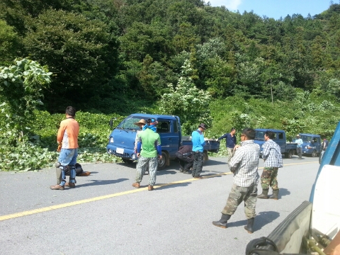 죽곡청년회 이미지