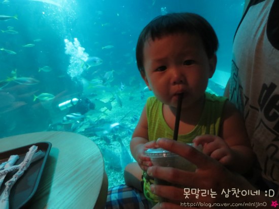 마린PC카페 이미지