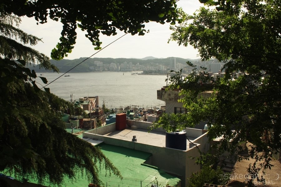 수야상회 이미지