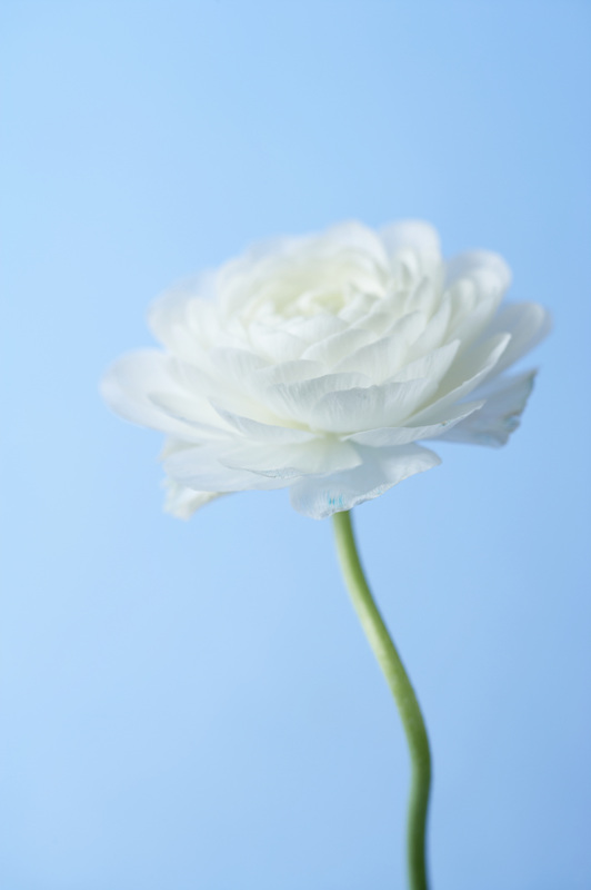 지중해 전이야기 이미지