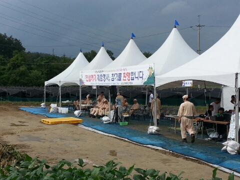 금산백산인삼영농조합법인 이미지