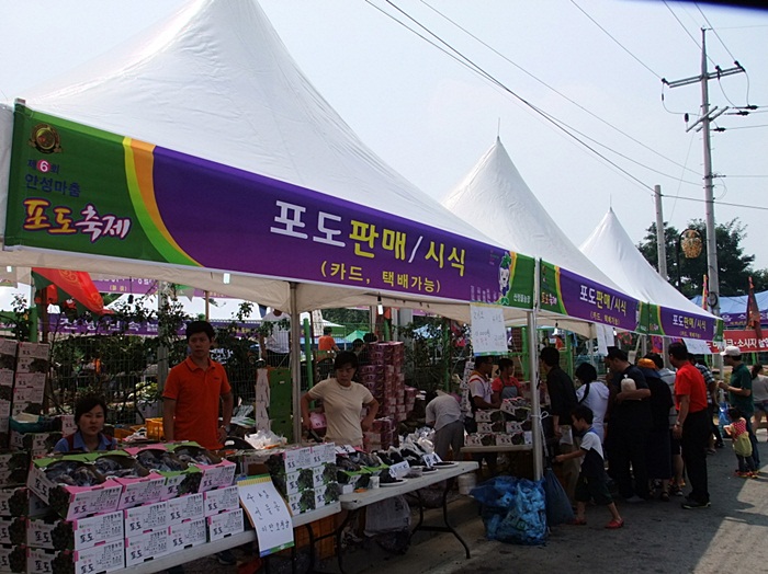 안성서운포도 이미지