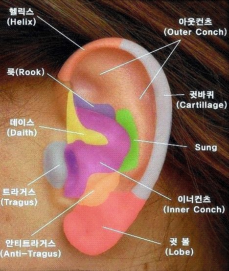 영피어싱 이미지