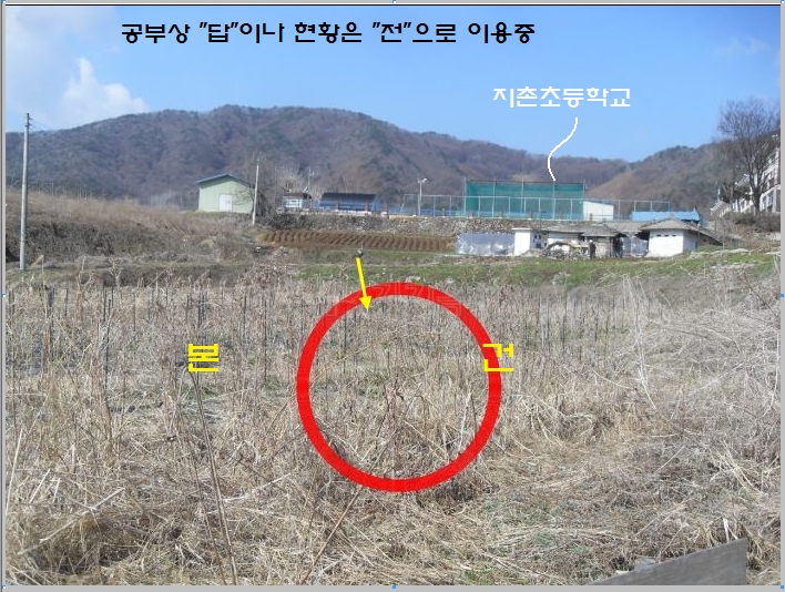 지촌초등학교 이미지