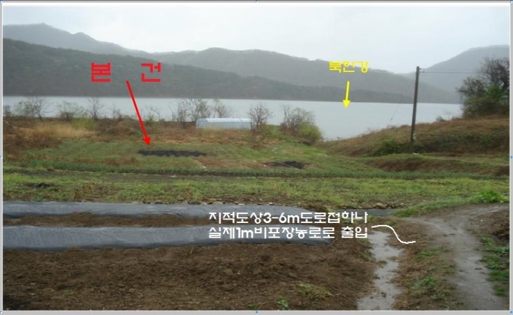 지촌초등학교 이미지