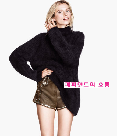 써니레더 이미지