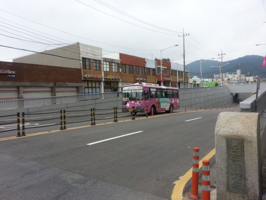 크로커다일레이디순천 이미지