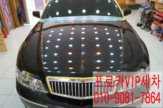 프로카VIP 이미지