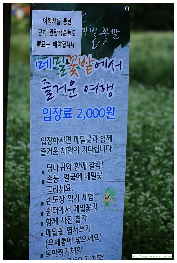 (주)하얀소금 이미지