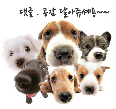 (주)좋은비타민 이미지