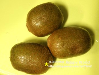 프로아티아 이미지