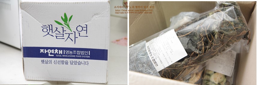 자연채영농조합법인 이미지