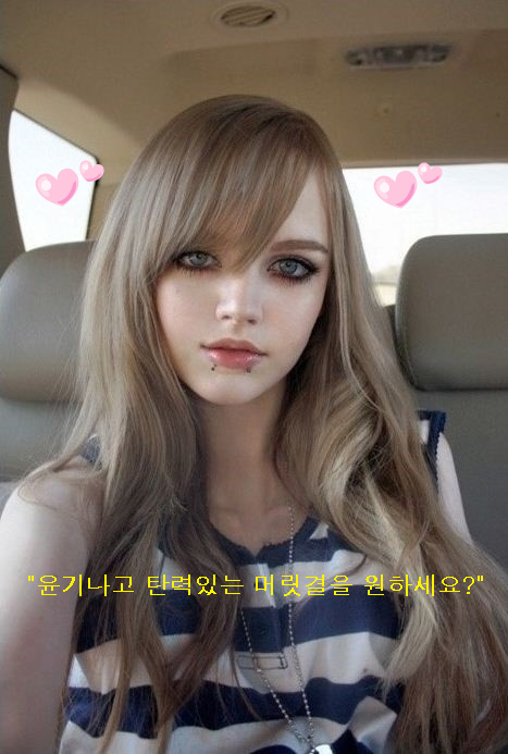 착한짐승 이미지