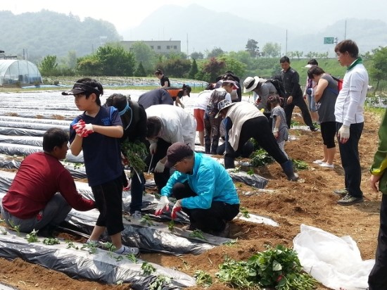 금성관광(주) 이미지