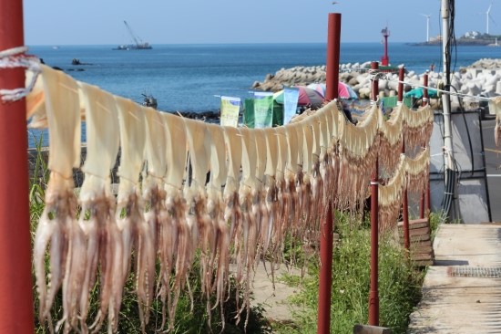 친정집민박 이미지