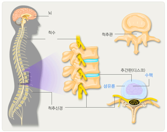 참조은병원 이미지