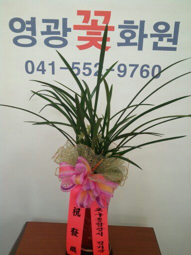 상명종합장식 이미지