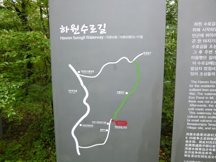 제주영실 표고버섯 이미지