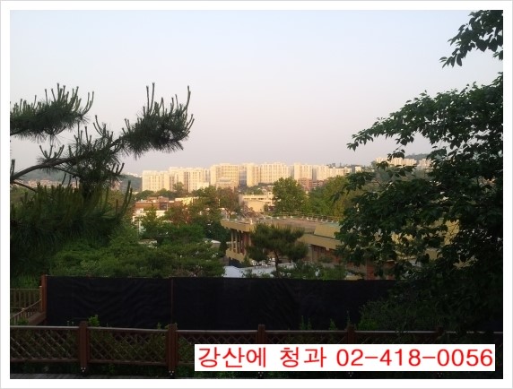 강산에청과 이미지