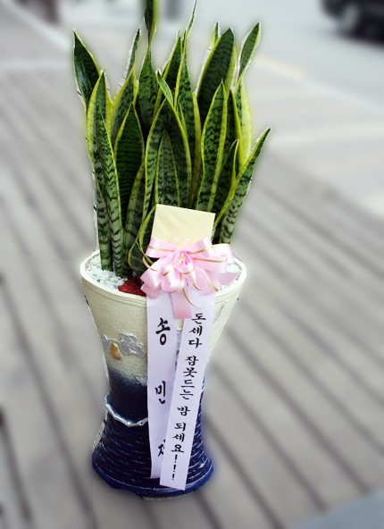 떠버리축산 이미지