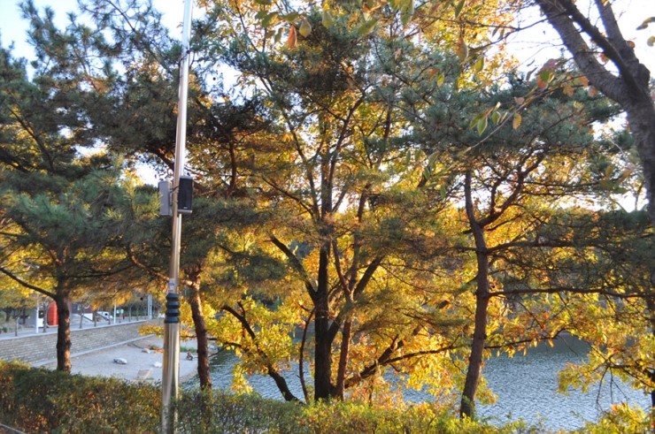 물고기오빠 이미지