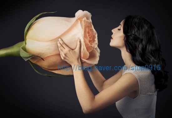 청아로마 이미지