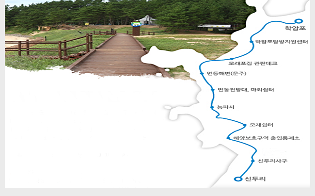 바다바라길 이미지
