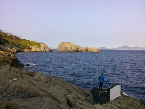 부산오징어 이미지