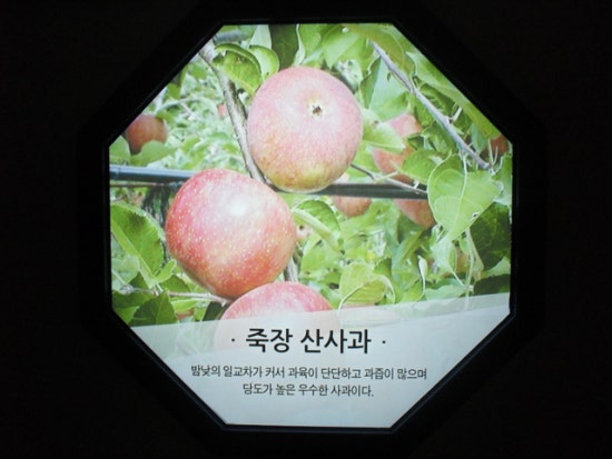 (주)아프리카 이미지