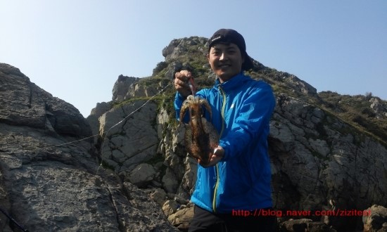 부산오징어 이미지