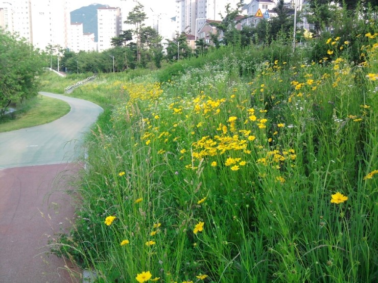 정관고등학교 이미지