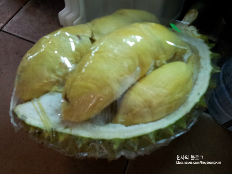 블럭천사 이미지