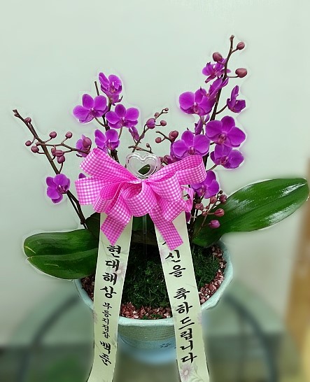 장성꽃배달서비스 이미지