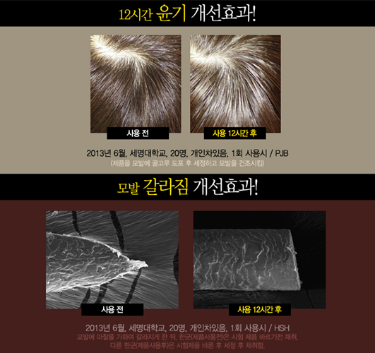 허니블룸 이미지
